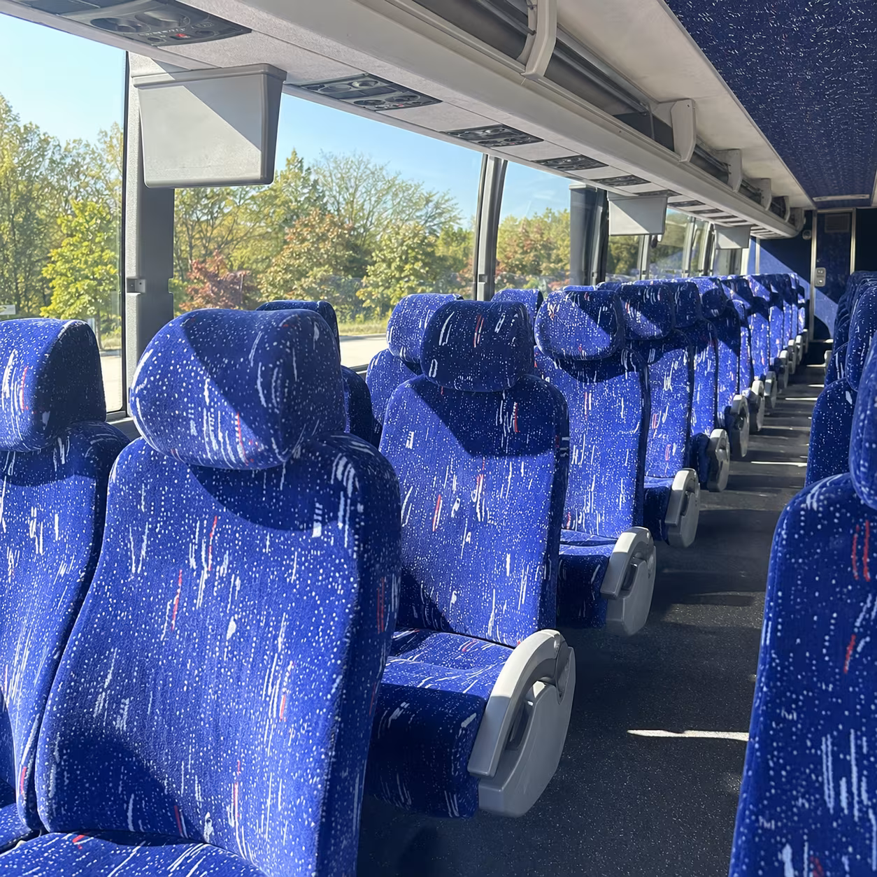 Wellington Airport Shuttle & Transportation party bus exterior